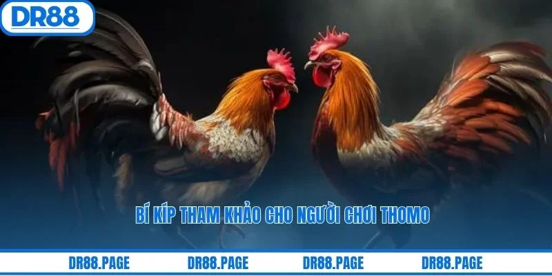 Bí kíp tham khảo cho người chơi Thomo