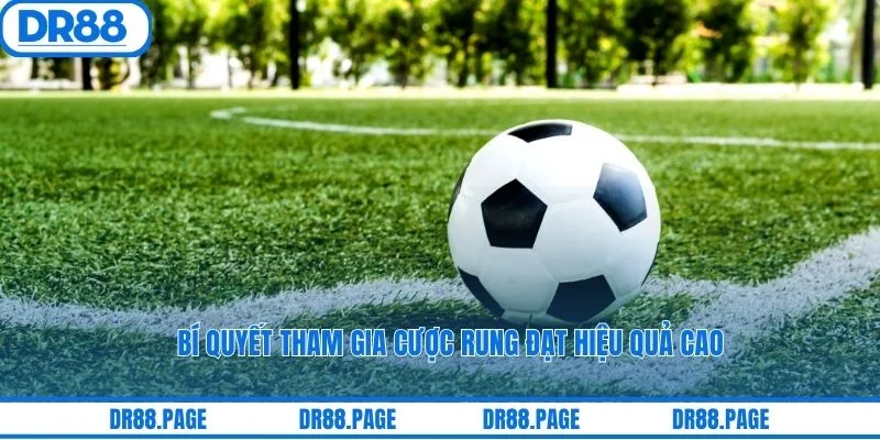 Bí quyết tham gia cược rung đạt hiệu quả cao