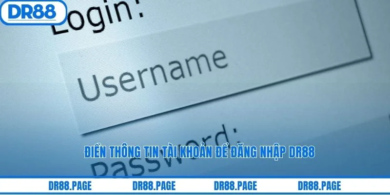 Điền thông tin tài khoản để đăng nhập DR88