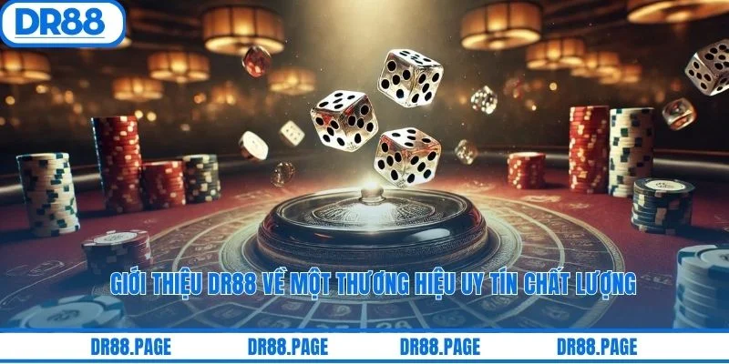 Giới thiệu DR88 về một thương hiệu uy tín chất lượng