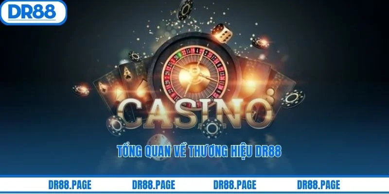 Tổng quan về thương hiệu DR88